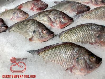 Fisch aus dem Supermarkt einfrieren